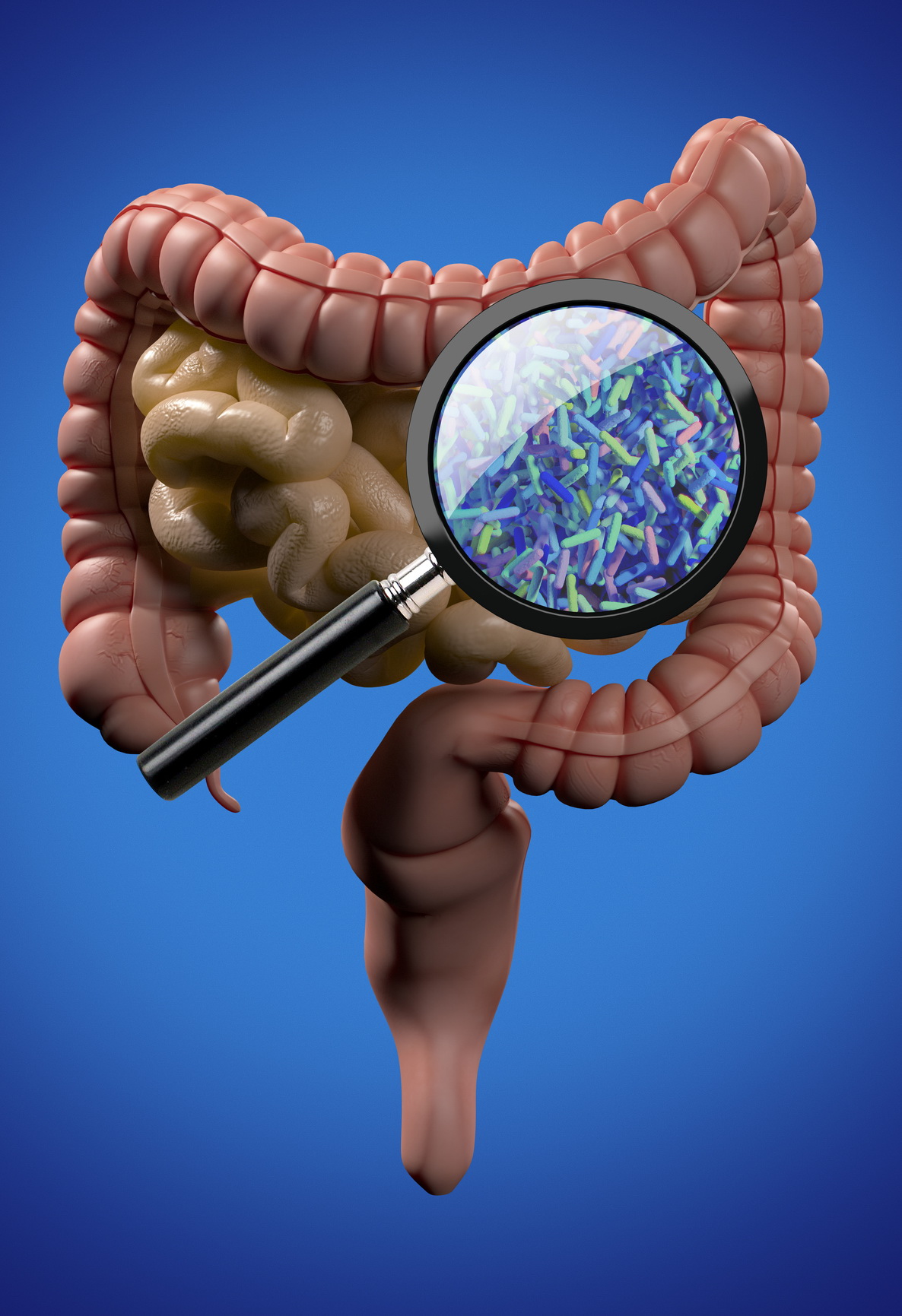 Se il microbioma intestinale è alterato sale il rischio di sviluppare Covid-19 in forme gravi